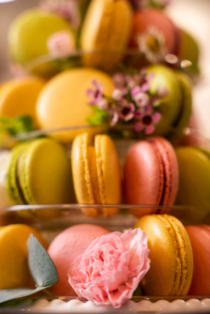 6 Count Macaron Box